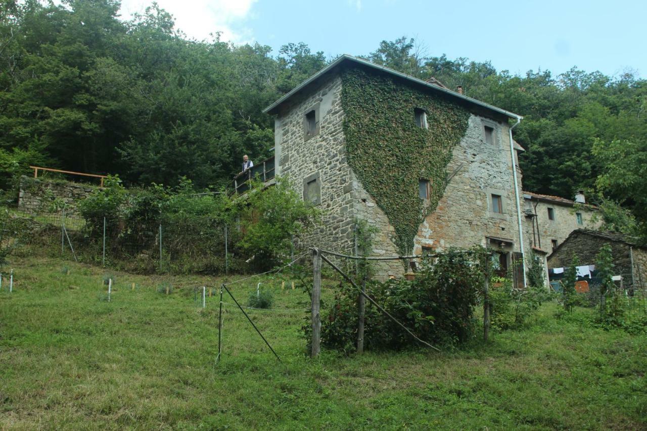 Gasthaus La Casa Nel Bosco-Senza Auto Ponte della Venturina Exterior foto