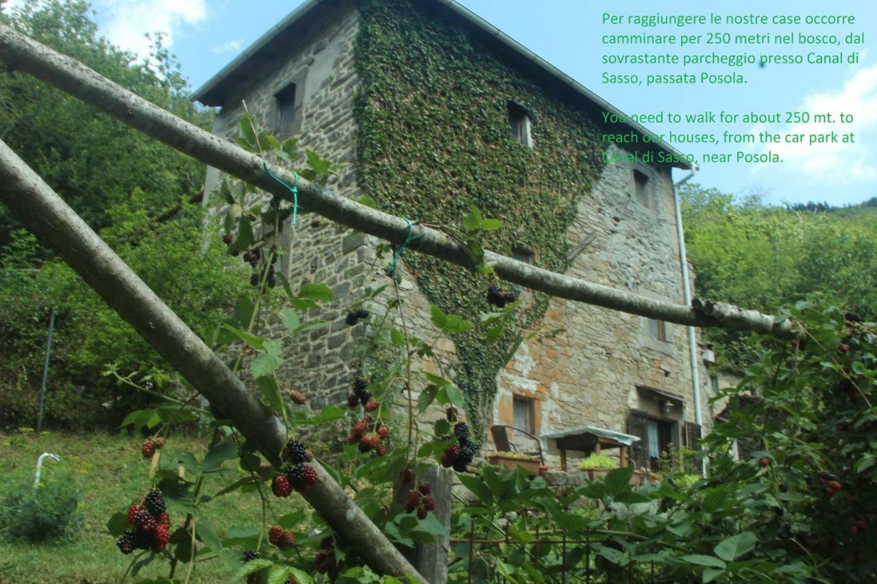 Gasthaus La Casa Nel Bosco-Senza Auto Ponte della Venturina Exterior foto