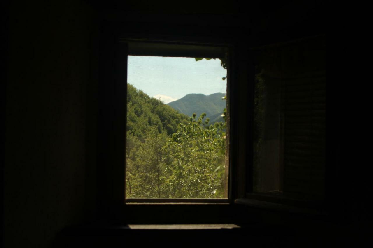 Gasthaus La Casa Nel Bosco-Senza Auto Ponte della Venturina Exterior foto